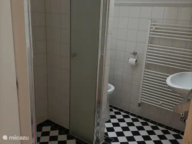 op de eerste verdieping is de badkamer met douche, toilet en wastafel